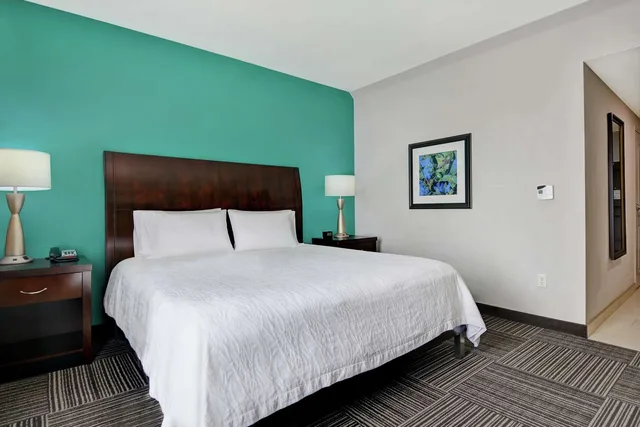 جناح بسرير كينج بغرفة نوم واحدة، Hilton Garden Inn Fayetteville 1/4