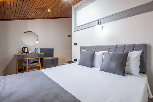 غرفة اقتصادية مفردة بسرير مزدوج، Sur Hotel 5/10