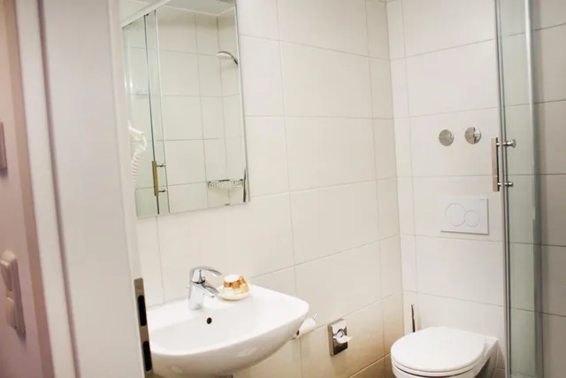 Junior Suite, Double Bed, Anor Hotel And Conference Center Frankfurt Airport 7/10