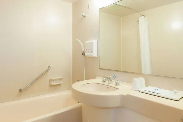 غرفة مفردة، Comfort Hotel Toyokawa 2/5