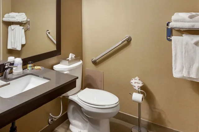 غرفة قياسية بسرير كينج مع أريكة لذوي الإعاقة، Best Western Plus Leamington Hotel and Conference Centre 3/6