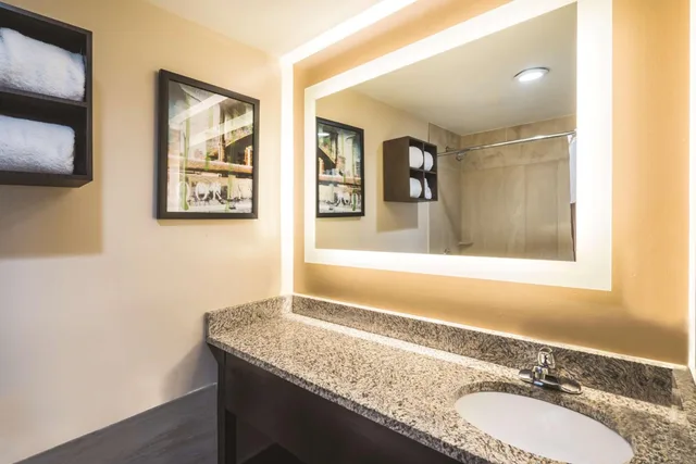 Room, King Bed, Bathtub, Accessible, La Quinta Inn & Suites by Wyndham Brooklyn Downtown 10/10