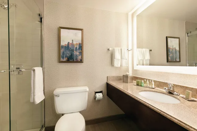 غرفة بسريرين مزدوجين بحوض استحمام لذوي الإعاقة، Doubletree By Hilton Atlanta Northlake 3/5