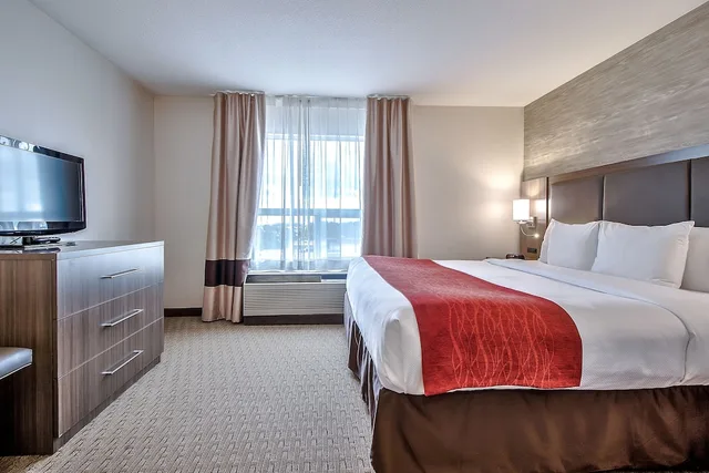 جناح بغرفة نوم واحدة مع أريكة، Comfort Inn and Suites South Calgary 1/3