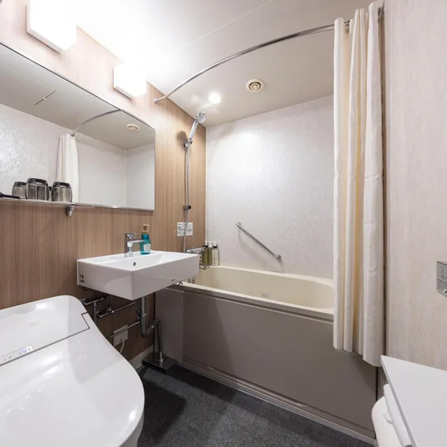 Renovated, Deluxe, Double Bed، Richmond Hotel Nagoya Nayabashi 5/5