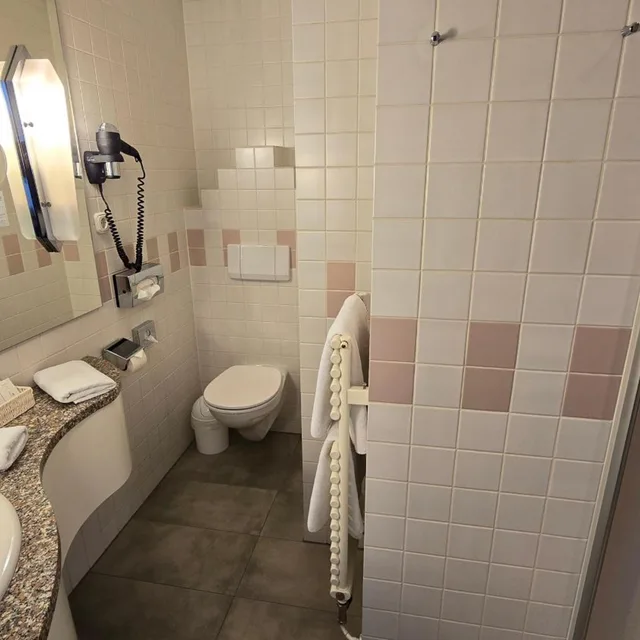 جناح جونيور مع أريكة، Hotel Am Terrassenufer 9/10