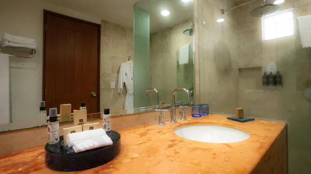 غرفة قياسية بسرير مزدوج، Camino Real Guadalajara 10/10