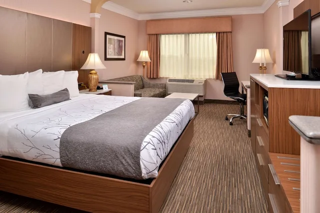غرفة قياسية بسرير كينج لذوي الإعاقة، Best Western Plus Suites Hotel - Los Angeles LAX Airport 1/2