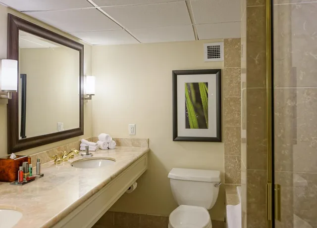 غرفة قياسية بسرير مزدوج، Houston Marriott Uptown by the Galleria 4/4