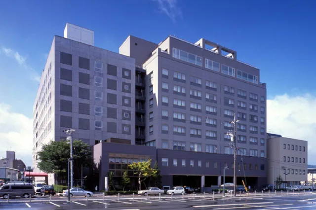 غرفة سوبيريور، Hida Hotel Plaza 1/1