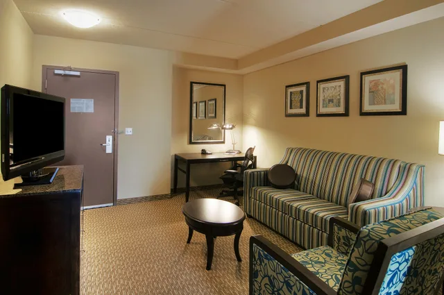 جناح بسرير كينج بغرفة نوم واحدة لذوي الإعاقة، Hilton Garden Inn Houston/Pearland 1/1