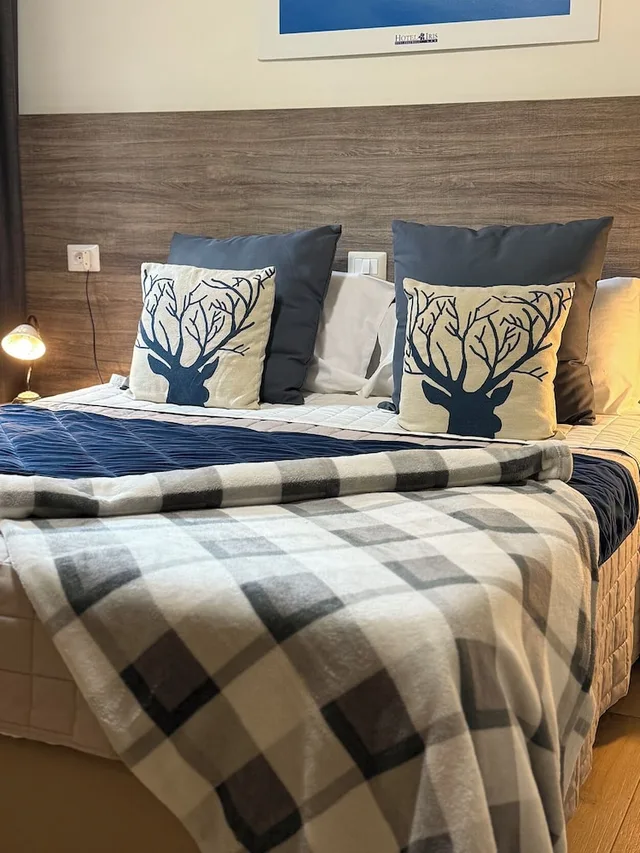 غرفة اقتصادية بسرير كوين وسرير فردي، Hotel Iris 4/5