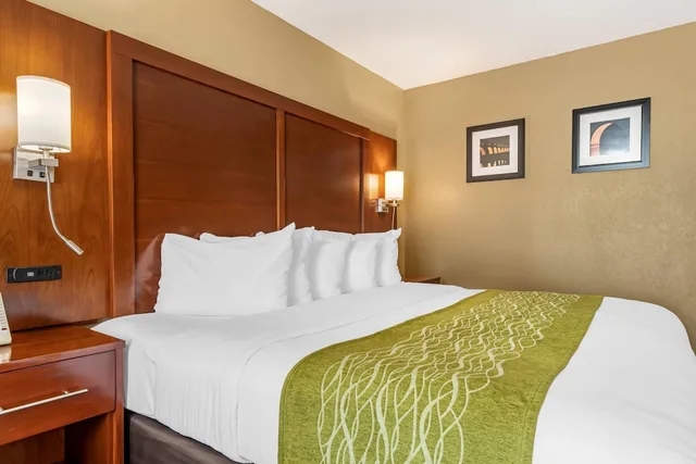 غرفة قياسية مفردة بسرير كينج مع أريكة في الطابق العلوي، Comfort Inn MSP Airport - Mall Of America 9/10