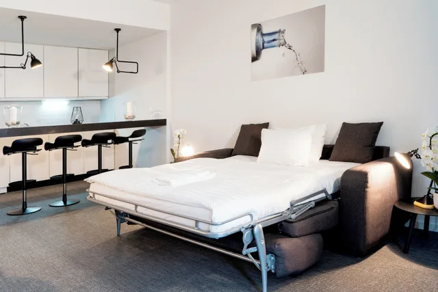 Family, Studio, Double Bed, Sofa, Hotel De La Source 2/4