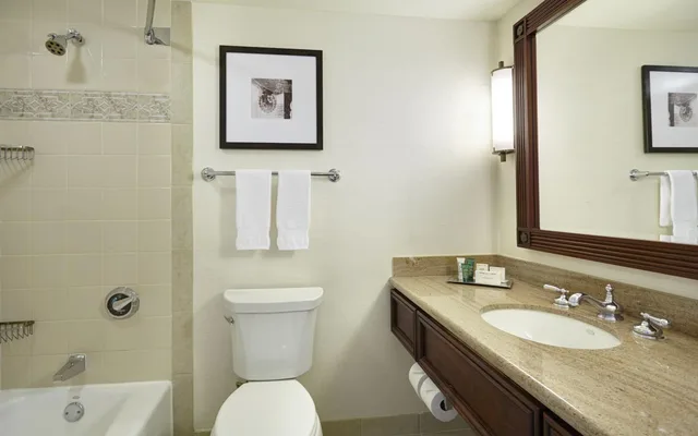 غرفة قياسية بسريرين كوين، APA Hotel & Resort Ryogoku Eki Tower 4/4