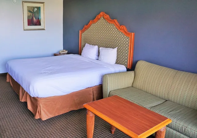غرفة مفردة بسرير كينج، Hotel elev8 2/5