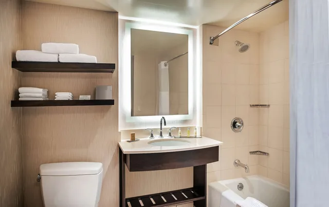 Premier, King Bed, Valley View, Balcony, High Floor، Doubletree By Hilton Hotel San Diego - Mission Valley 4/4