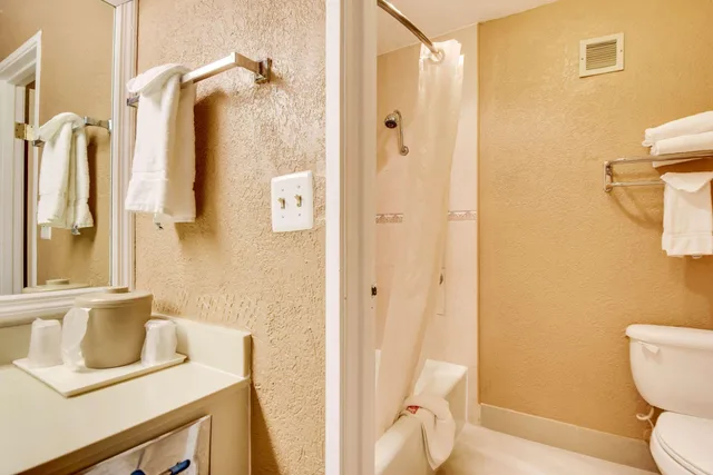 Upgrade, Double Bed، Econo Lodge Tampa near Busch Gardens 2/2