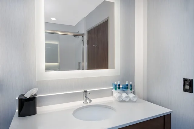 غرفة قياسية بسرير فردي، Holiday Inn Express & Suites Round Rock - Austin N 5/5