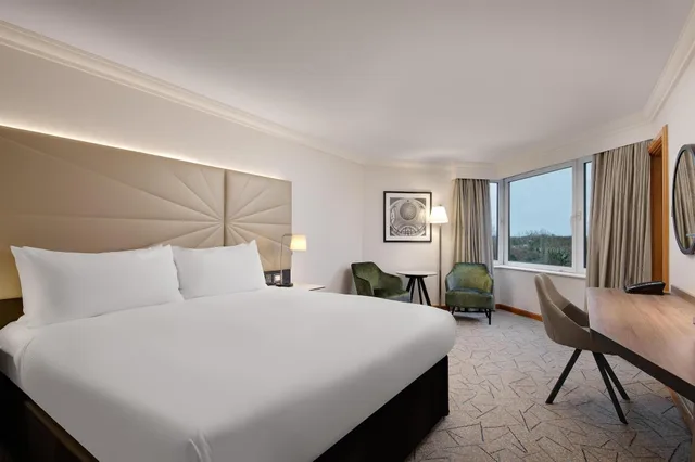 بنتهاوس ديلوكس، Hilton Birmingham Metropole 1/4