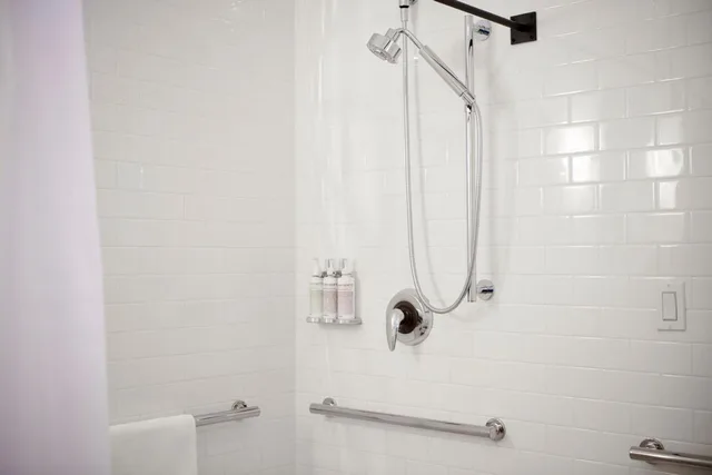 Deluxe, Studio, King Bed, Hotel San Jose 4/4