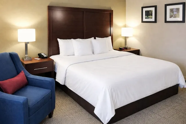 Room, King Bed, Accessible, Comfort Inn Farmington Hills - Detroit Northwest 4/6