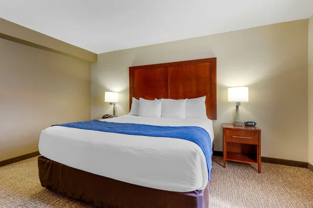 جناح بسرير كينج مع أريكة، Comfort Suites Fredericksburg South 1/4