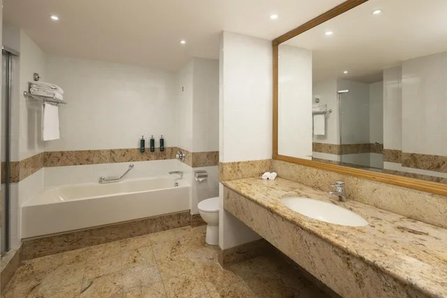 Renovated, Plus, Executive, Family, King Bed، Hilton Paris Charles De Gaulle Airport 6/7