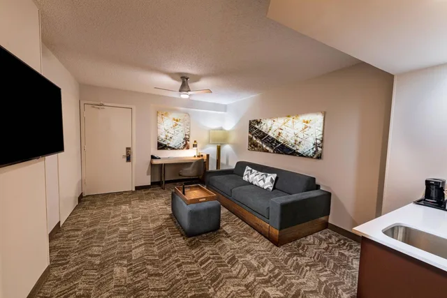 Suite, Queen Bed, Sofa, Bathtub, Accessible, Springhill Suites Houston Medical Center Nrg Park 3/8