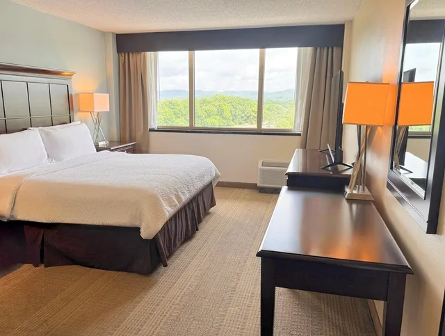 غرفة قياسية بسرير فردي، Holiday Inn Birmingham-Airport 1/3