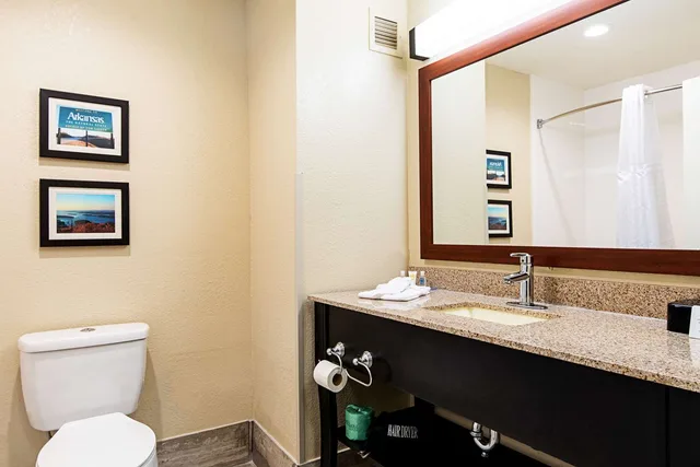 غرفة بسرير كينج، Comfort Inn & Suites Pine Bluff 3/3