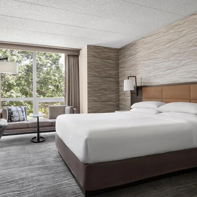 غرفة بسرير كينج بحوض استحمام لذوي الإعاقة، Lincolnshire Marriott Resort 5/10