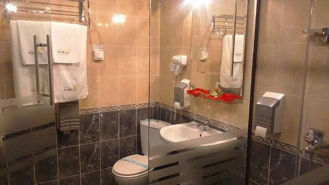 غرفة ديلوكس بسرير كينج بشرفة، Vitosha Tulip Hotel 9/10