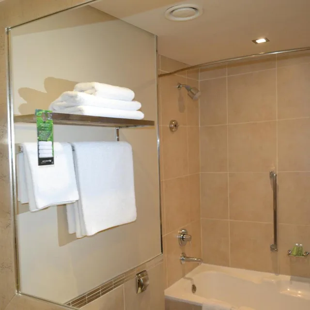 غرفة تنفيذية بسرير كينج للمدخنين، Southern Sun Pretoria 7/8