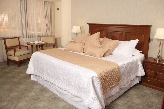 غرفة تنفيذية بسرير كينج، GRAN HOTEL TOLOMA 1/4