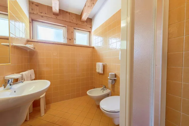 Room, Double or Twin Bed, Mountain View, HOTEL CHALET PINETA 6/6