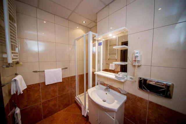 Standard, Single, Best Western Central Hotel 8/10