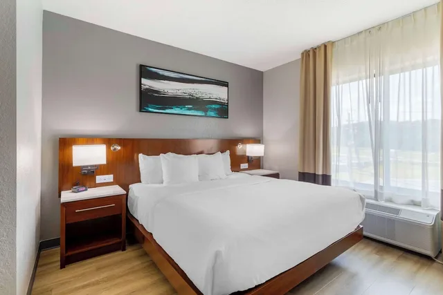 جناح بسرير كينج مع أريكة، Comfort Suites Kodak Sevierville 1/5