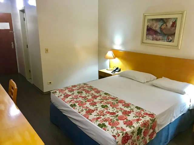 غرفة ديلوكس، Dan Inn Sao Jose Dos Campos 1/3