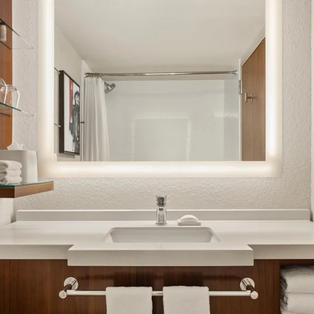 غرفة بسرير كينج، Delta Hotels Minneapolis Northeast 6/11