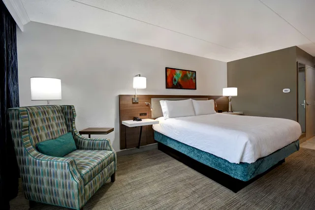 غرفة بريميوم بسرير كينج، Hilton Garden Inn Detroit Metro Airport 5/10