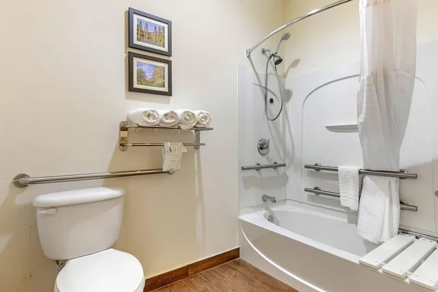 غرفة بسرير كينج لذوي الإعاقة، Comfort Suites Batesville, AR 3/3