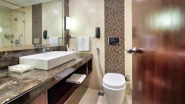 غرفة بزنس، RADISSON JAIPUR CITY CENTER 7/7