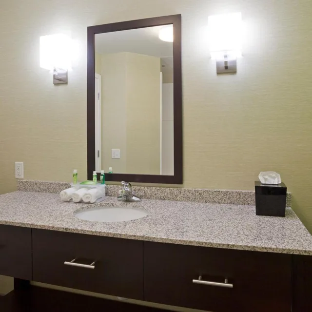 جناح بسرير كوين مع أريكة، Holiday Inn Express Hotel Suites Rogers 6/6