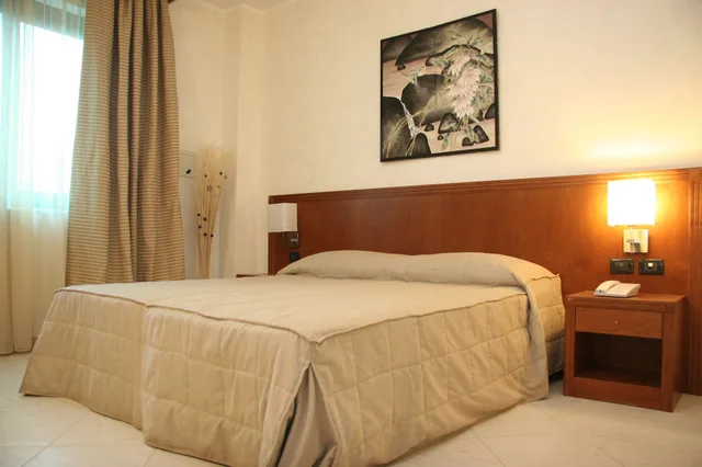 غرفة مفردة بسرير مزدوج، Hotel Parisi 4/8