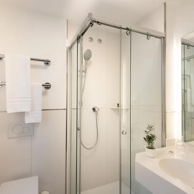 غرفة سوبيريور مفردة بسرير مزدوج، Hotel Palmenhof 8/8