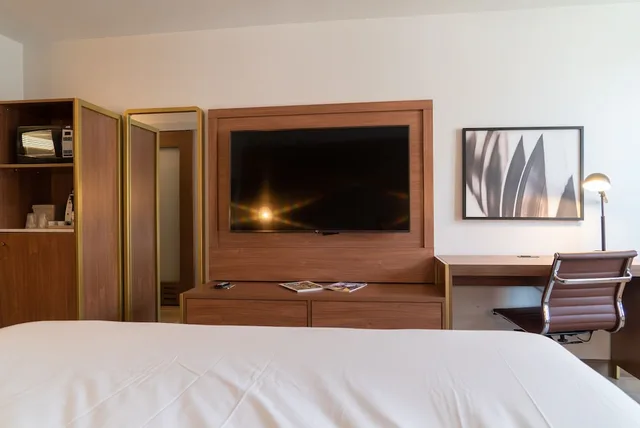 غرفة قياسية بسرير كينج لذوي الإعاقة، Hotel Indigo Detroit Downtown 3/9