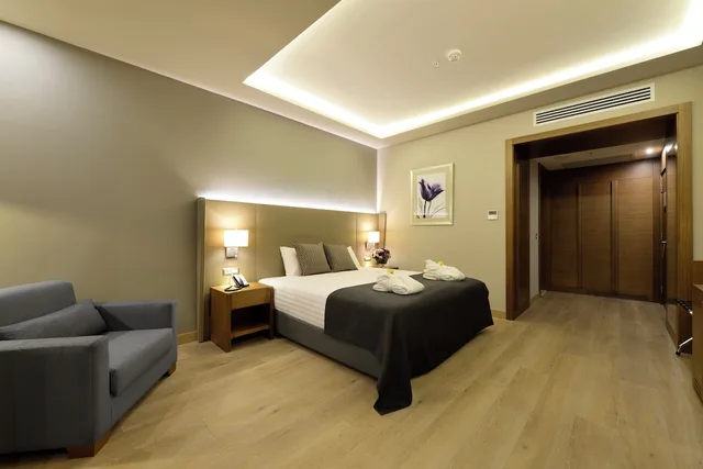غرفة بريميوم بسرير كينج بإطلالة على المدينة للمدخنين، Holiday Inn Bursa - City Centre 1/7