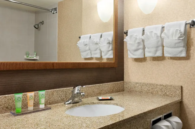 Deluxe, 2 Queen Beds, Skyline View، Wyndham Garden At Niagara Falls 2/2