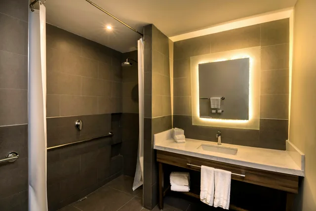 غرفة بسرير كوين لذوي الإعاقة، Hilton Garden Inn Aguascalientes 2/2